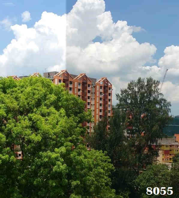 solar film 8055