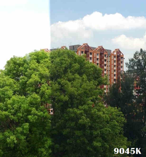 solar film 9045