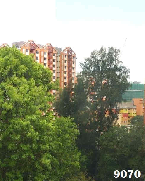 solar film 9070