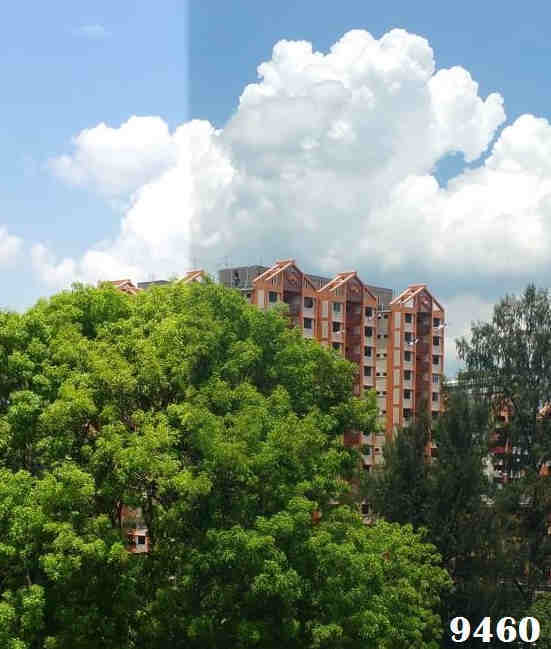 solar film 9460