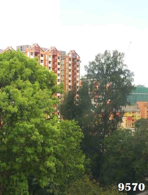 solar film 9570
