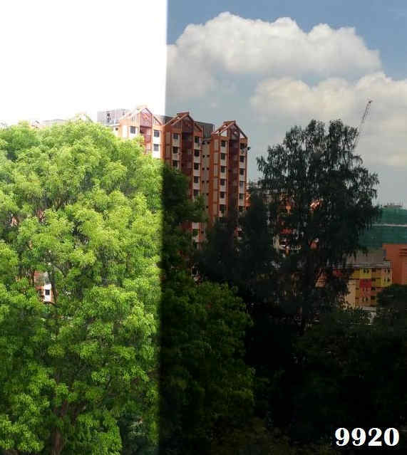 solar film 9920