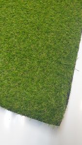 Grass Carpet