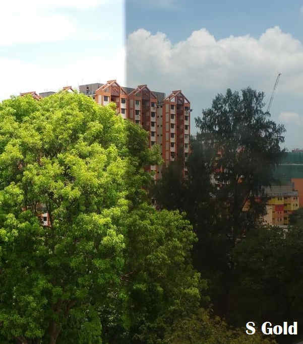 window film S-Gold