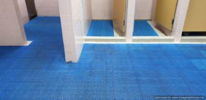 toilet mat